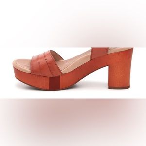 Earth Sandals...  all leather wooden platforms